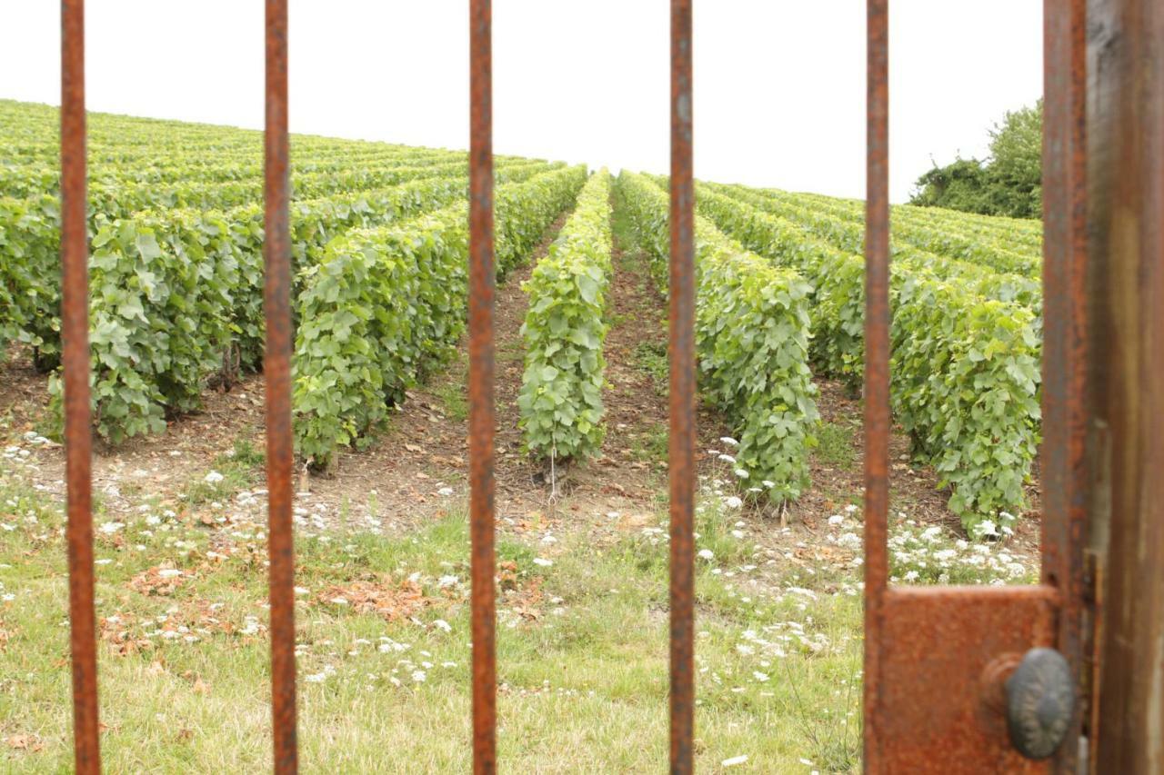 Au Coeur Des Vignes Bed & Breakfast Épernay Eksteriør bilde